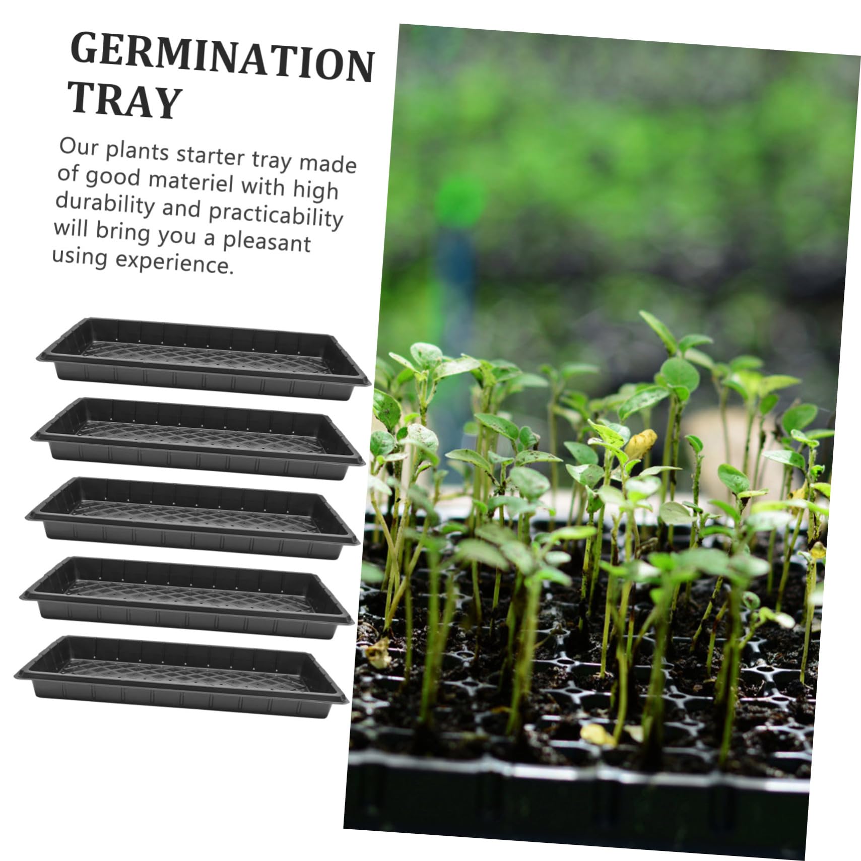 BESPORTBLE Plateau de Semis de Germination 5 Pièces en Plastique Noir