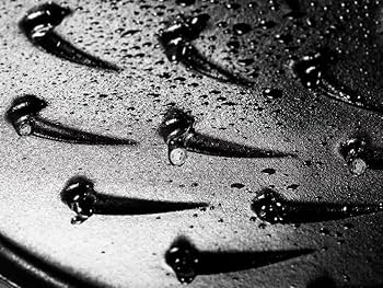 Amazon.co.jp: ストウブ(Staub) 「 ブレイザー ソテーパン