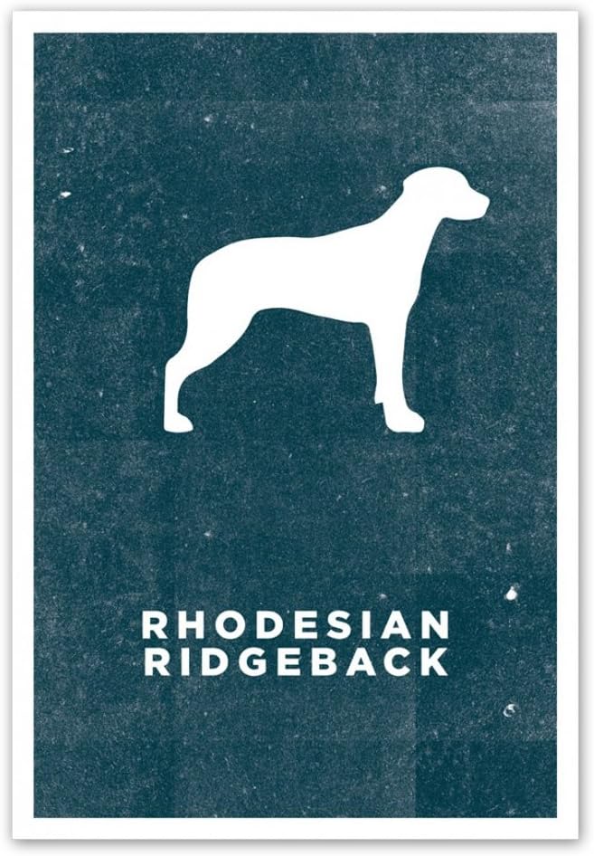 Crate Style Rhodesian Ridgeback Dog Poster Posters & Prints