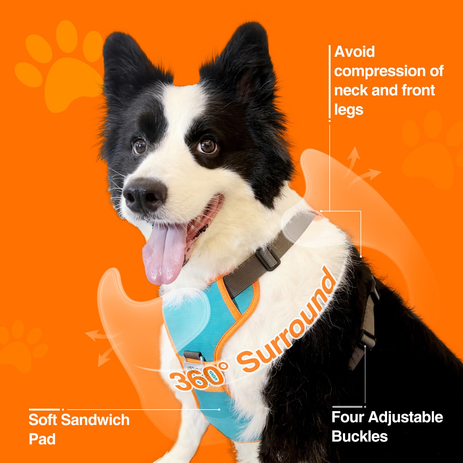 No-Pull Dog Harness For Small Dogs Up To 16lbs – 3-in-1 Lightweight Vest With Retractable Leash, Reflective (Blue, XXS)