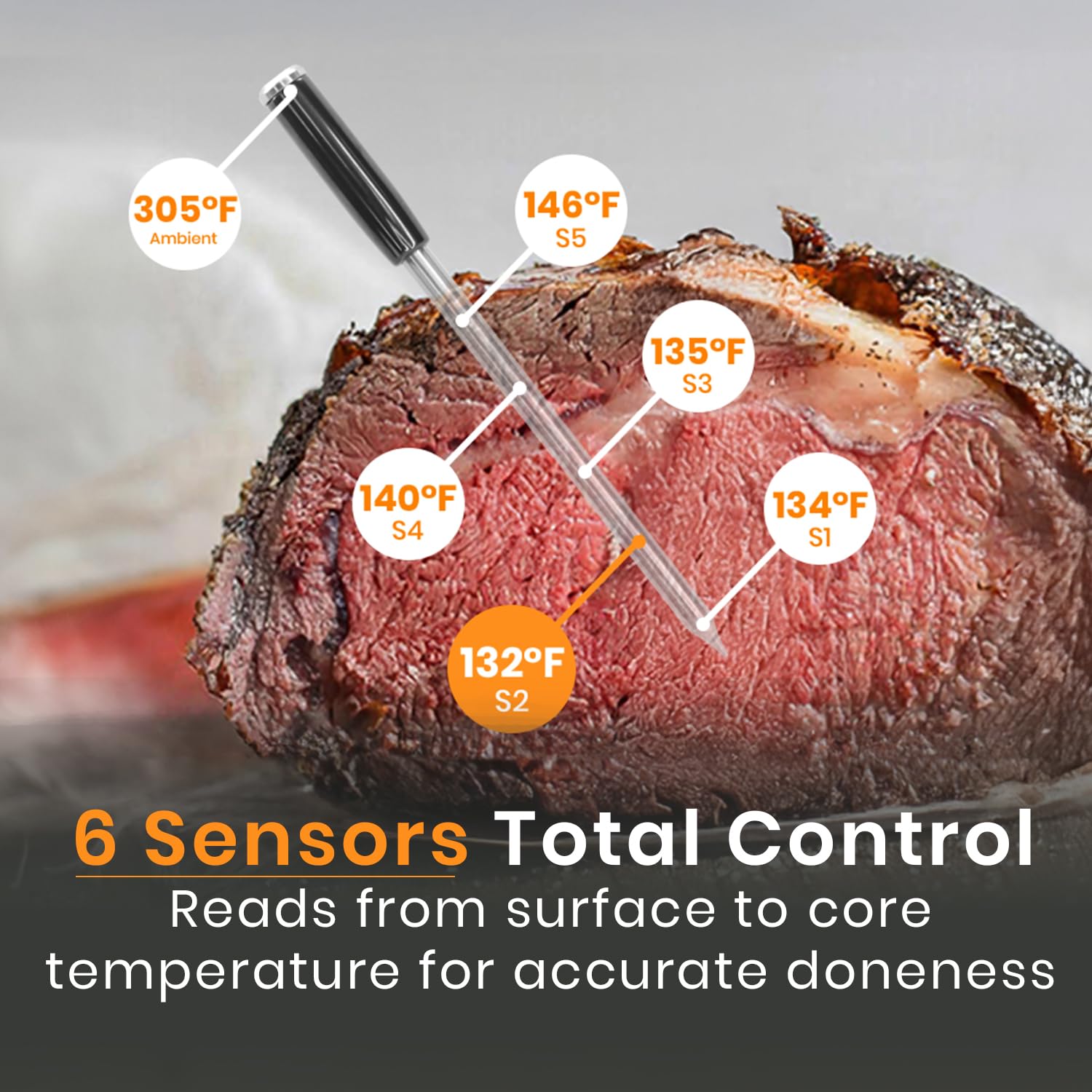MeatStick V bezprzewodowy termometr do mięsa, odporność na ciepło 650°C, nieograniczony zasięg WiFi i Bluetooth, cyfrowa sonda do grillowania, wędzenia, smażenia sous vide, grilla, piekarnika