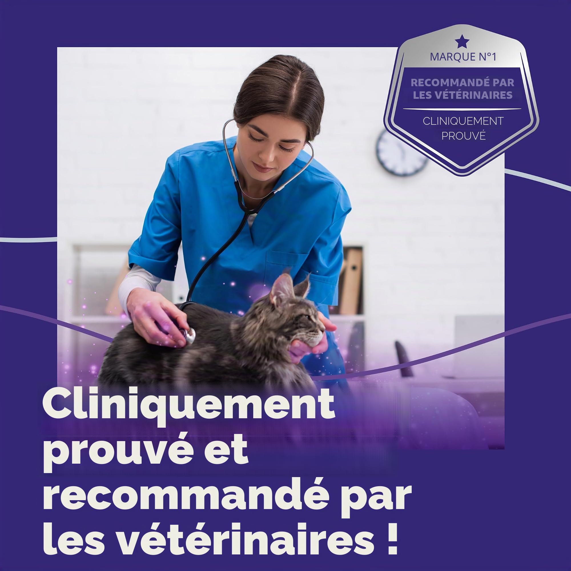 FELIWAY Optimum Recharge pour diffuseur de phéromones apaisante 30 Jours pour Chat sans Odeur 48 ML Aide à résoudre Les Signes de Stress chez Les Chats et Chatons, recommandé par Les vétérinaires