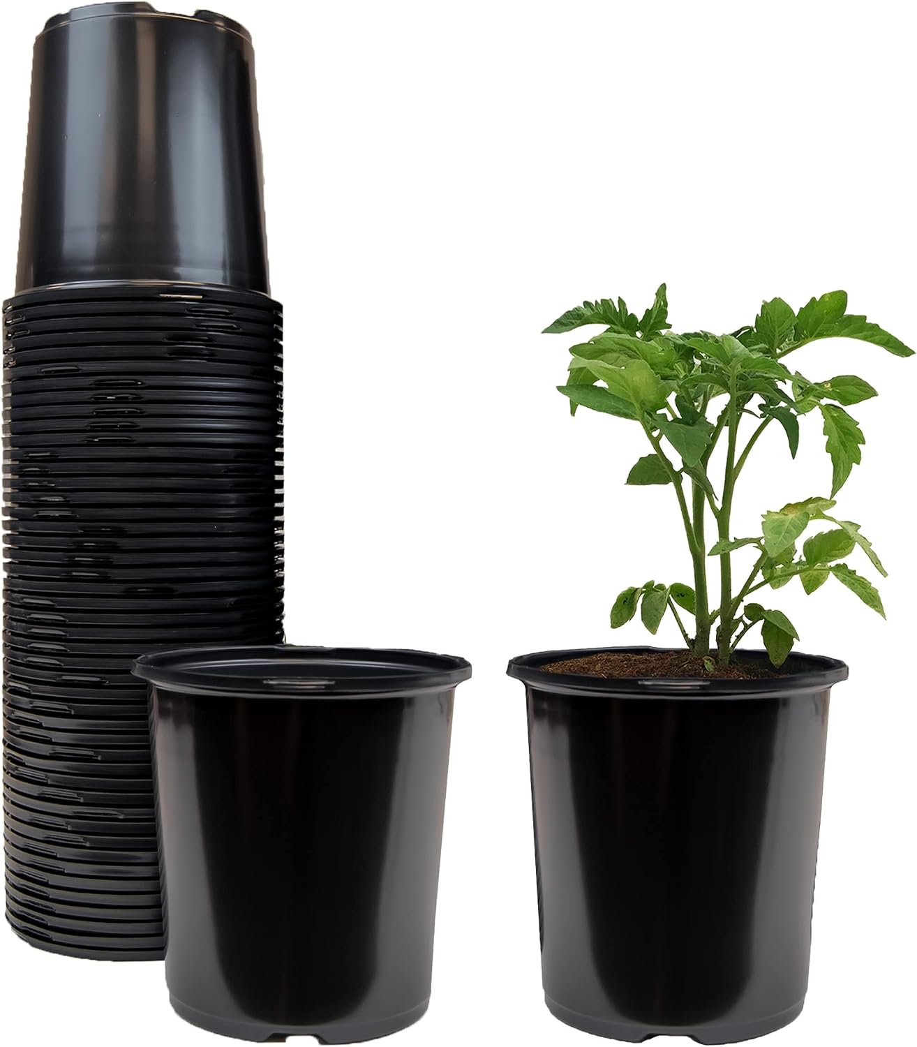 Viagrow ½ Gal Plastic Nursery Pots ( .62 gal / 2.5qts / 2.37 Liters) 50/pack