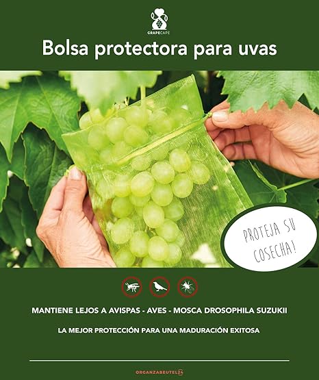 green bolsas uk