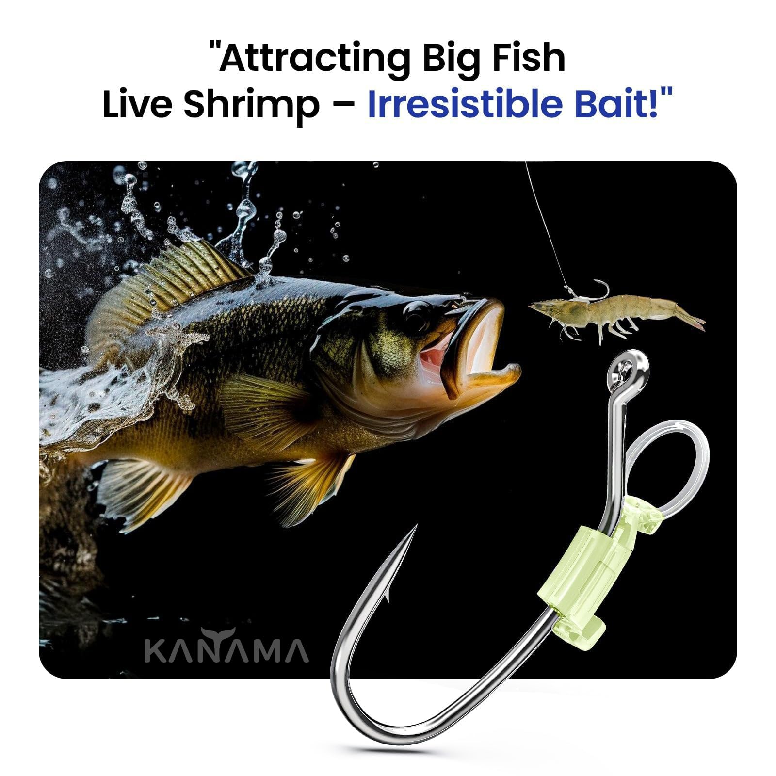 KANAMA Ami per Gamberi Vivi Luminosi - Ami da Pesca in Acciaio ad Alto Carbonio, Anticorrosione, con Ardiglione, Forti, Ideali per Spigole Cernie Lucci Pesci Gatto