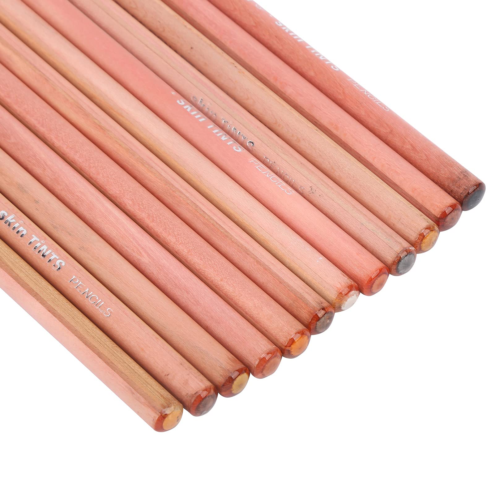 Caran D'Ache Matite Pastello Color Pelle Morbide per Artisti - Set di Strumenti di Pittura per Disegno e Ritratto Toner Dipinto a Mano - 21×11×1