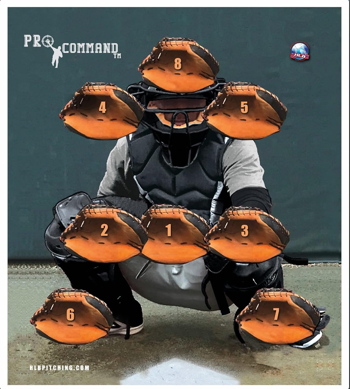 Pro Command Pitching Target