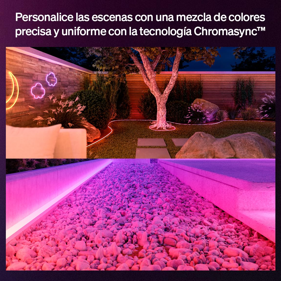 Philips Hue Neon Tira LED inteligente 5M, RGB, 1100 lm, iluminación exterior, tecnología Chromasync™, resistente al agua, baja tensión, control por app y voz, con Alexa, Google Assitant,Apple HomeKit