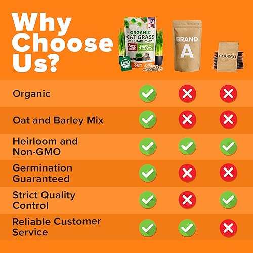 Miniatura 10 de HOME GROWN Paquete de semillas orgánicas de hierba para gatos (4 onzas), semillas de hierba de gato sin OMG para gatos de interior, hierba de avena