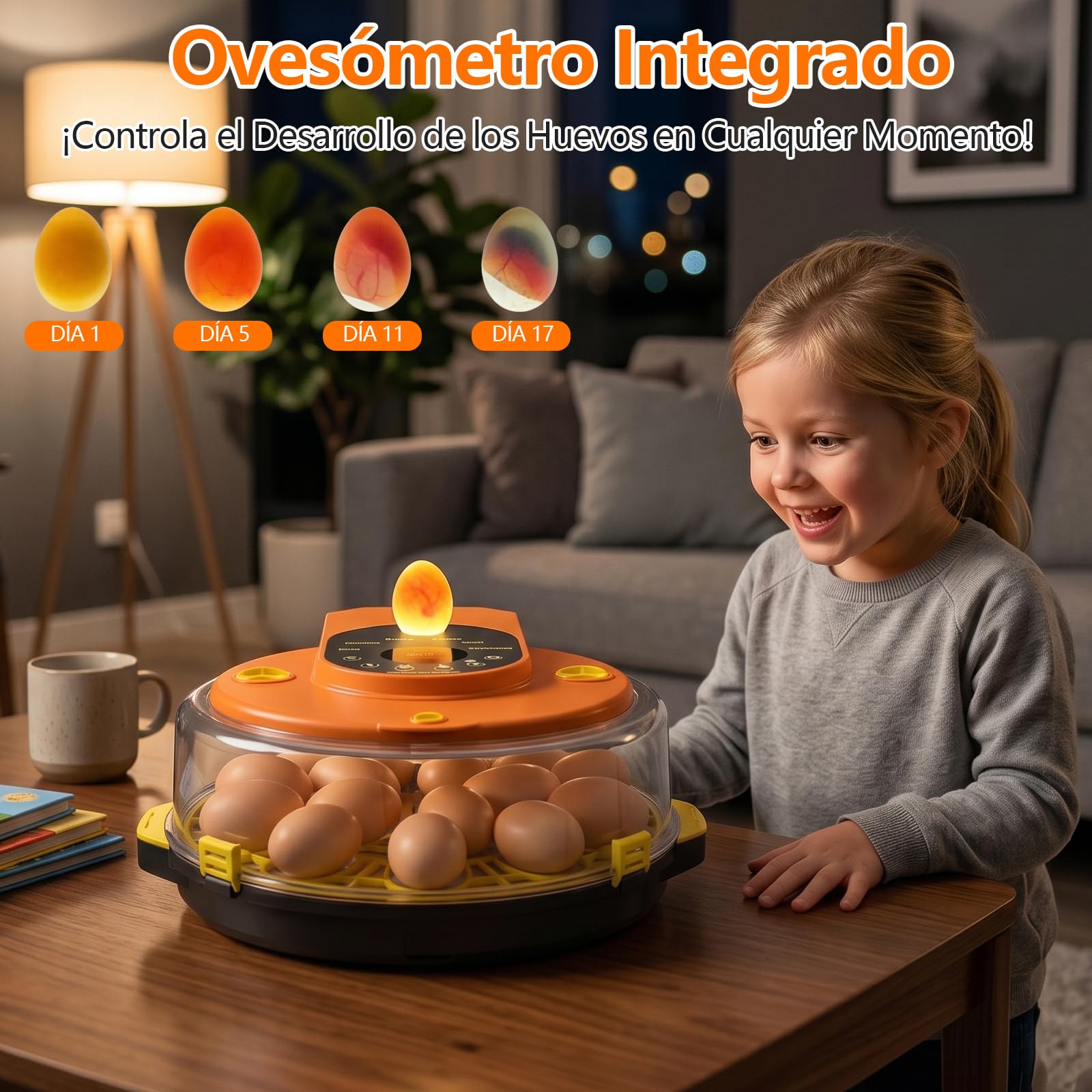 Incubadora Huevos Gallina, Diealles Shine Incubadoras de Huevos Automaticas de 15 Huevos con Volteo Automático de Huevos y Humidificación Automática, Incubadoras con Indicador de Humedad y Temperatura