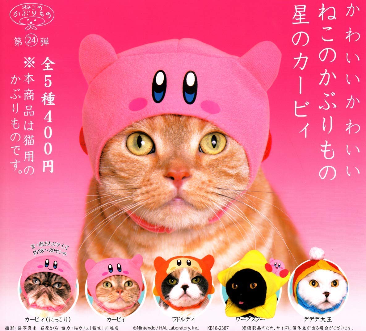 猫の虎　カーヴィ3本セット Amazon.co.jp: ねこのかぶりもの第24弾 かわいいかわいいねこのかぶり