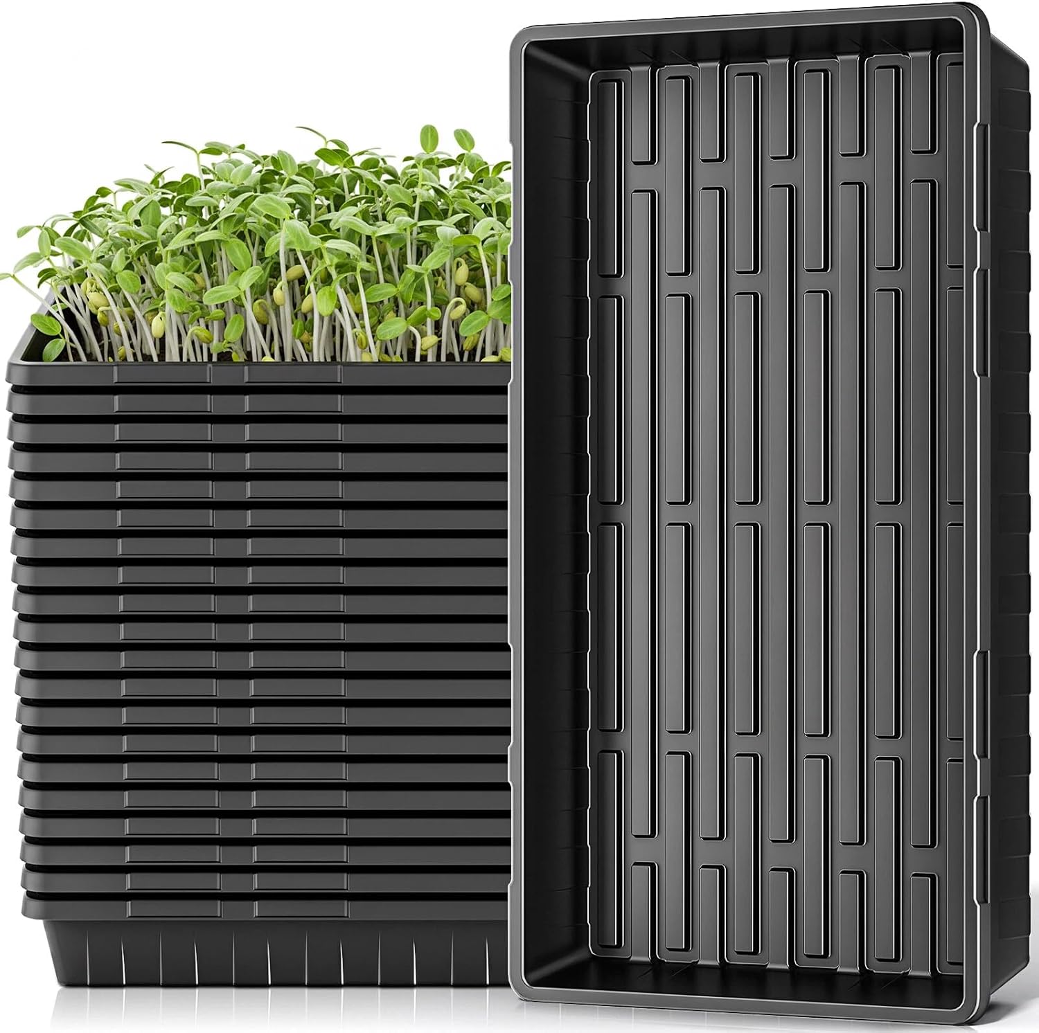 ZJP 20 Pack Extra Thick 1020 Heavy Duty Seed Starter Trays - No Holes, Reusable, 2.44 in Deep, Plastic Plant Growing Trays for Seedlings, Microgreens,and Propagation Sprouting in Garden, Greenhouse