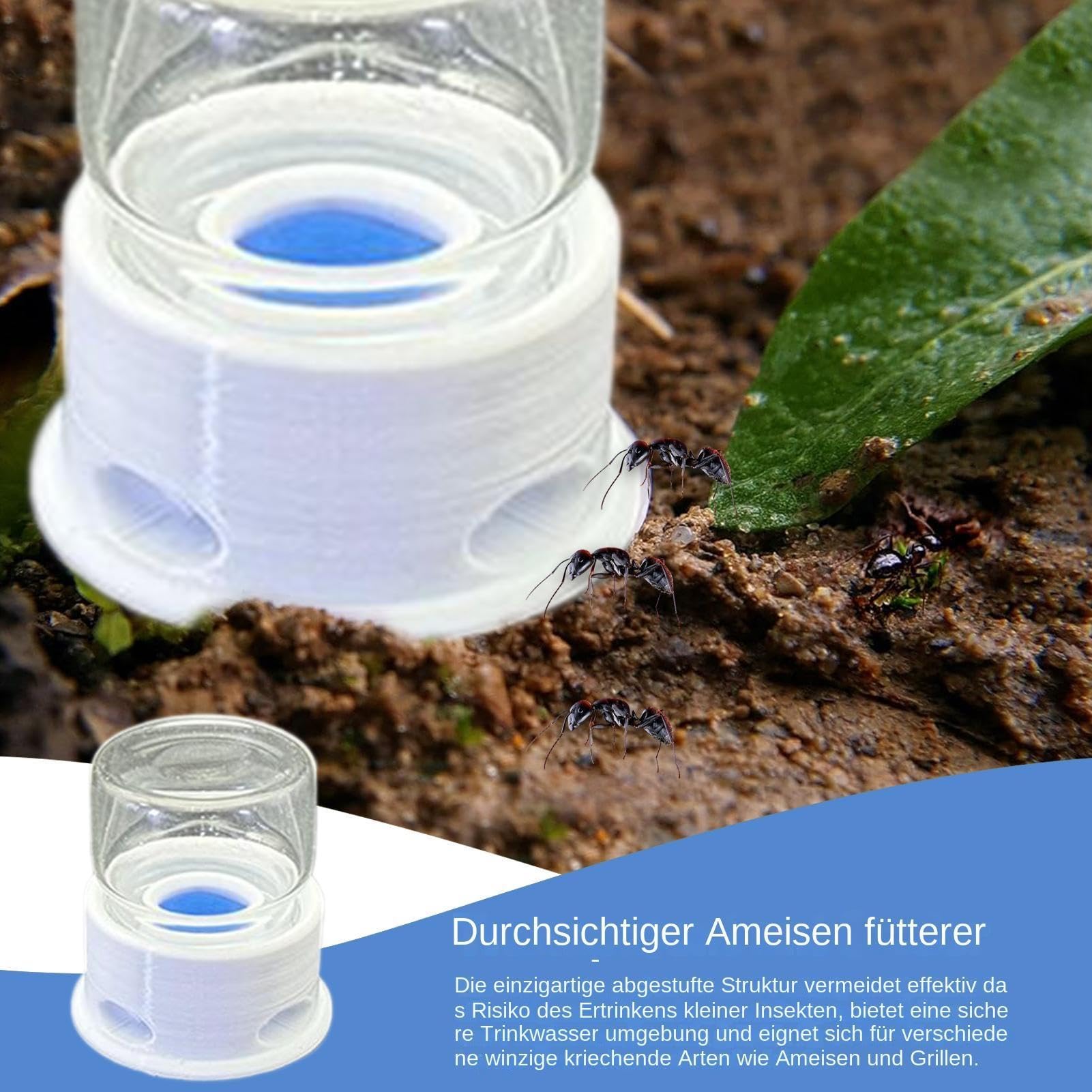 Mangiatoia per formiche, stazione d'acqua, dispenser trasparente per insetti contro l'annegamento, dispenser di acqua sicuro per formiche, durevole, per interni ed esterni, pratica