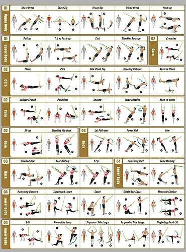 Miniatura 9 de Paquete de equipo de ejercicio de entrenamiento de suspensión todo en uno, kit de entrenamiento de resistencia de fitness con correas profesionales