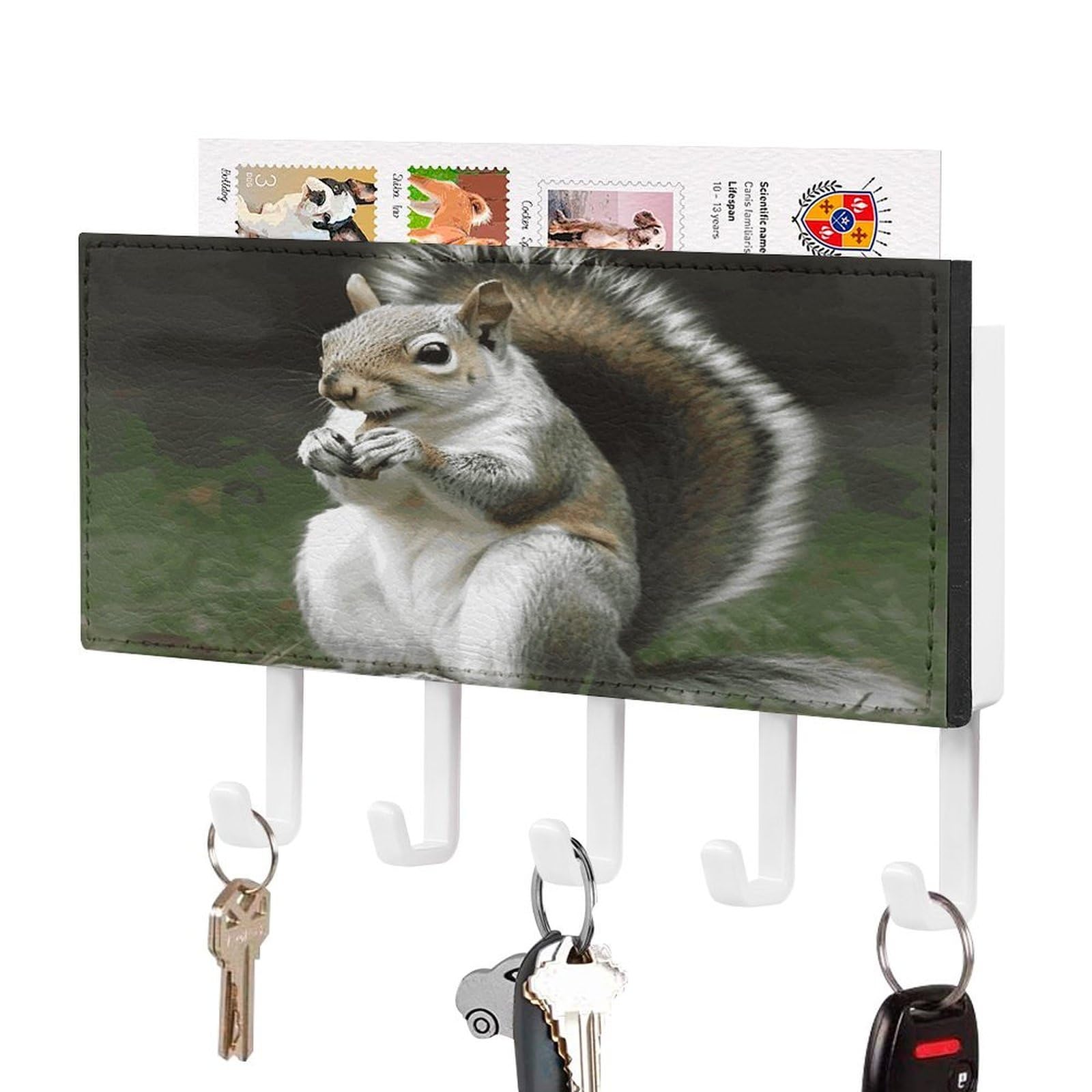LDGSUPH Squirrel Key Holder Wall Mount Key Hanger with 5 Hooks Fashion Key Organizer Rack Hanging Key Hooks with Mail Organizer Key Rack for Home Entryway Hallway White-Style