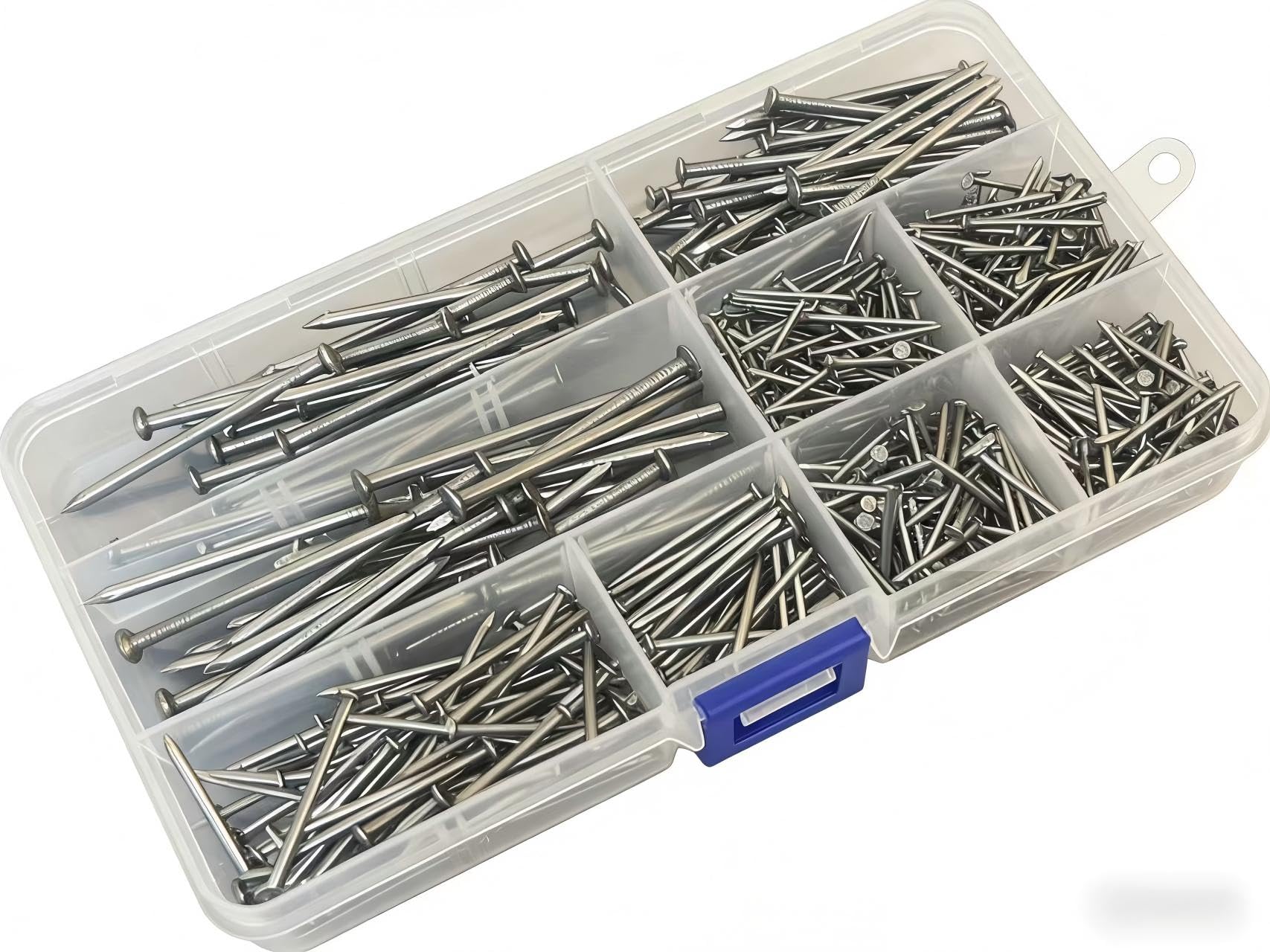 Picture Hanging Nails Assortment - 600 Pcs 5 Sizes Galvanised Steel Wall Nails with Transparent Storage Box for Canvas, Photo Frames, Posters, DIY Projects