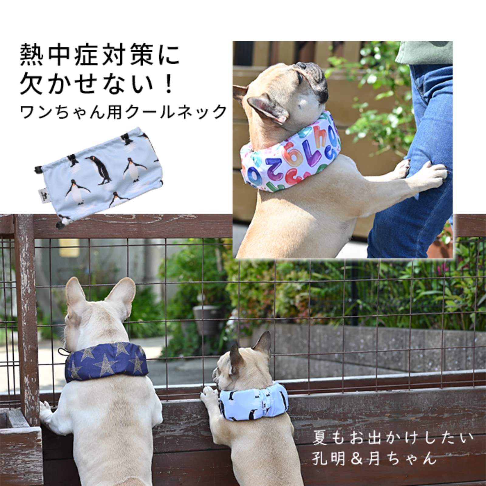 Amazon | [FRENCH FRENCH] クールネック 犬 夏 暑さ対策 ひんやり