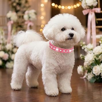 Cute Dazzling Sparkling Elegant Fancy Suede Leather 1 Rows Bling Rhinestone Crystal Jeweled Small Pet Cat Dog Puppy Collar Pink, XS