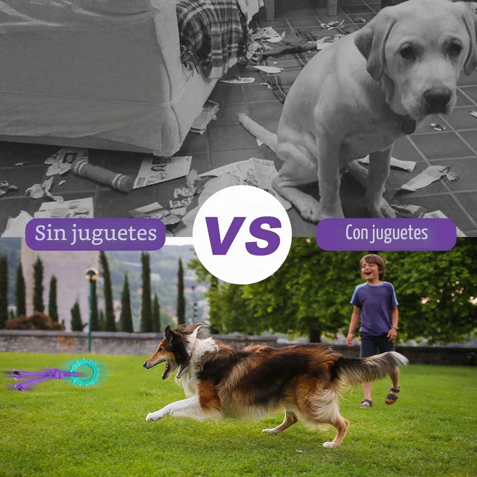 Juguete Interactivo para Morder para Perros pequeños/Medios/Grandes, 20pcs, Cuerda de Algodón Durable Masticable para Cachorros