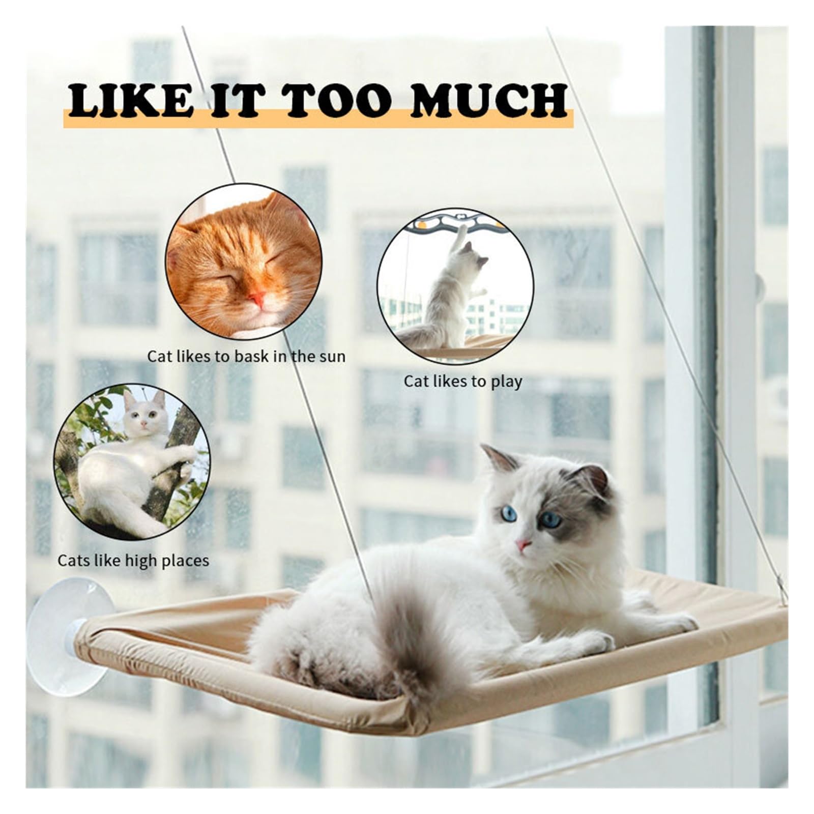 PawHut kattenmand rotan, kattennest met kussen, huisdierbed, comfortabel, bruin