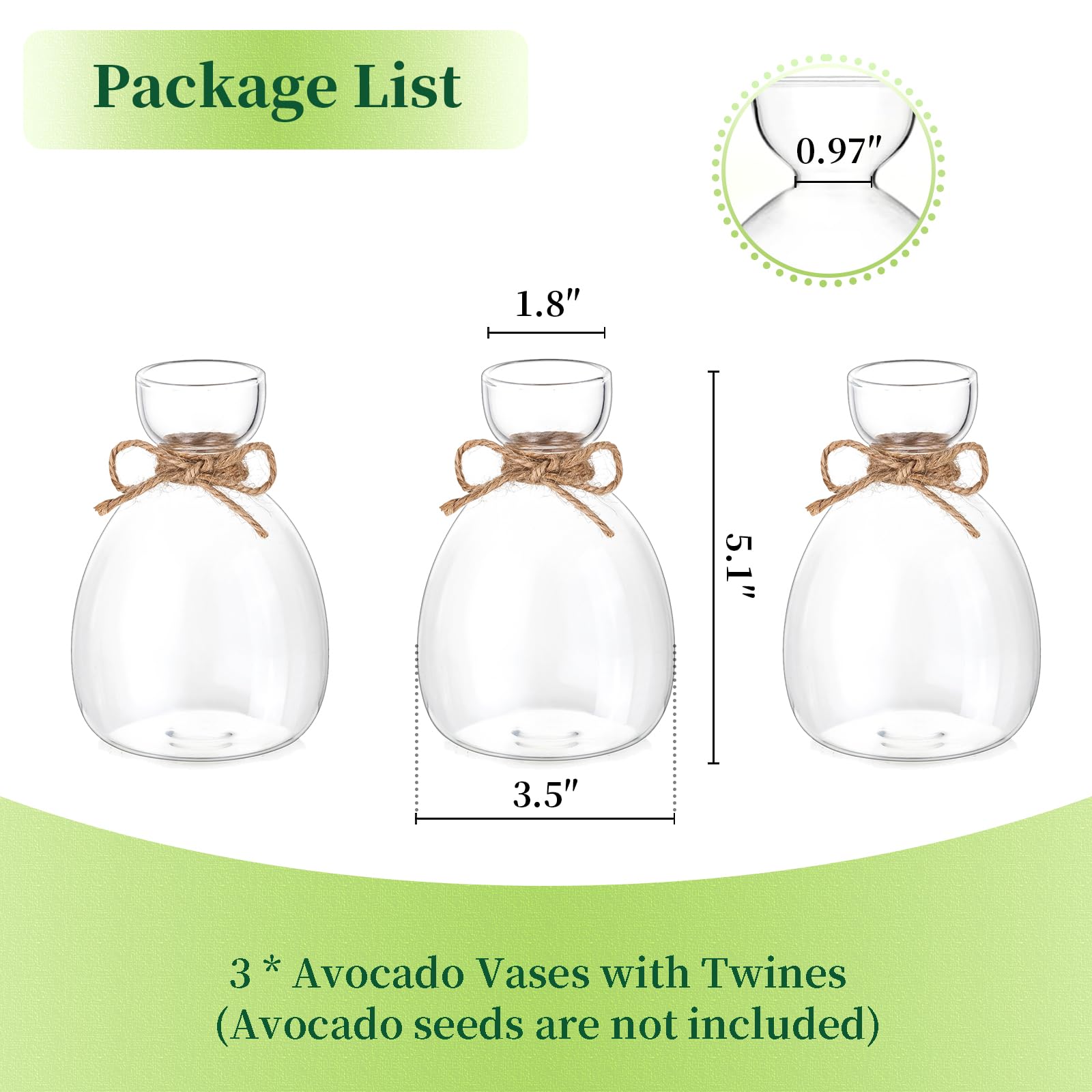 Hewory Lot de 3 vases à avocat en verre : lot de 3 vases en forme de gland - Kit de culture de graines d'avocat - Cadeaux de propagation pour les amateurs de plantes