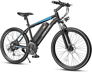 Funhang Electric Bike – 1000W Peak, Commuter Model