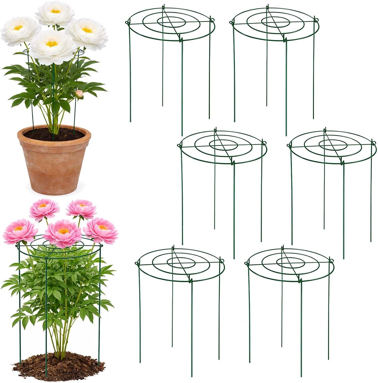 6 Pack Heavy Duty Peony Cages and Supports, 12" D x 18" H, Large Metal Support Rings, Easy Ground Insertion, Easy Installation & Durable, Sturdy for Climbing Plants