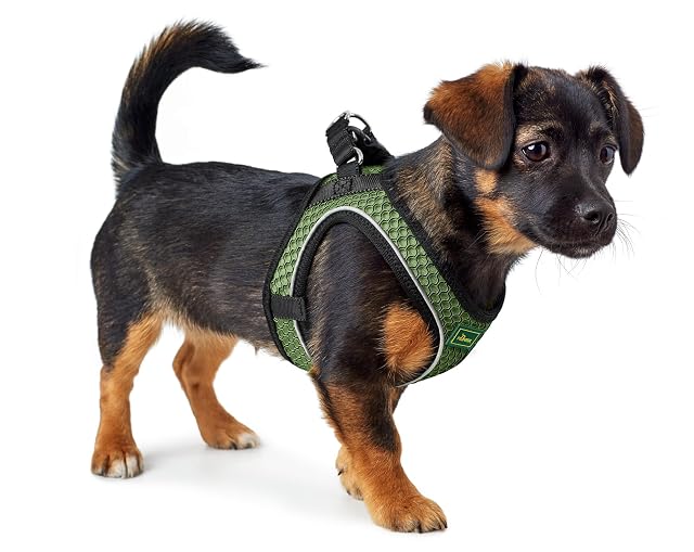 Foto 5 de 7 de Hunter - Dog Harness Hilo Comfort. M-L, Green - (401673969802)