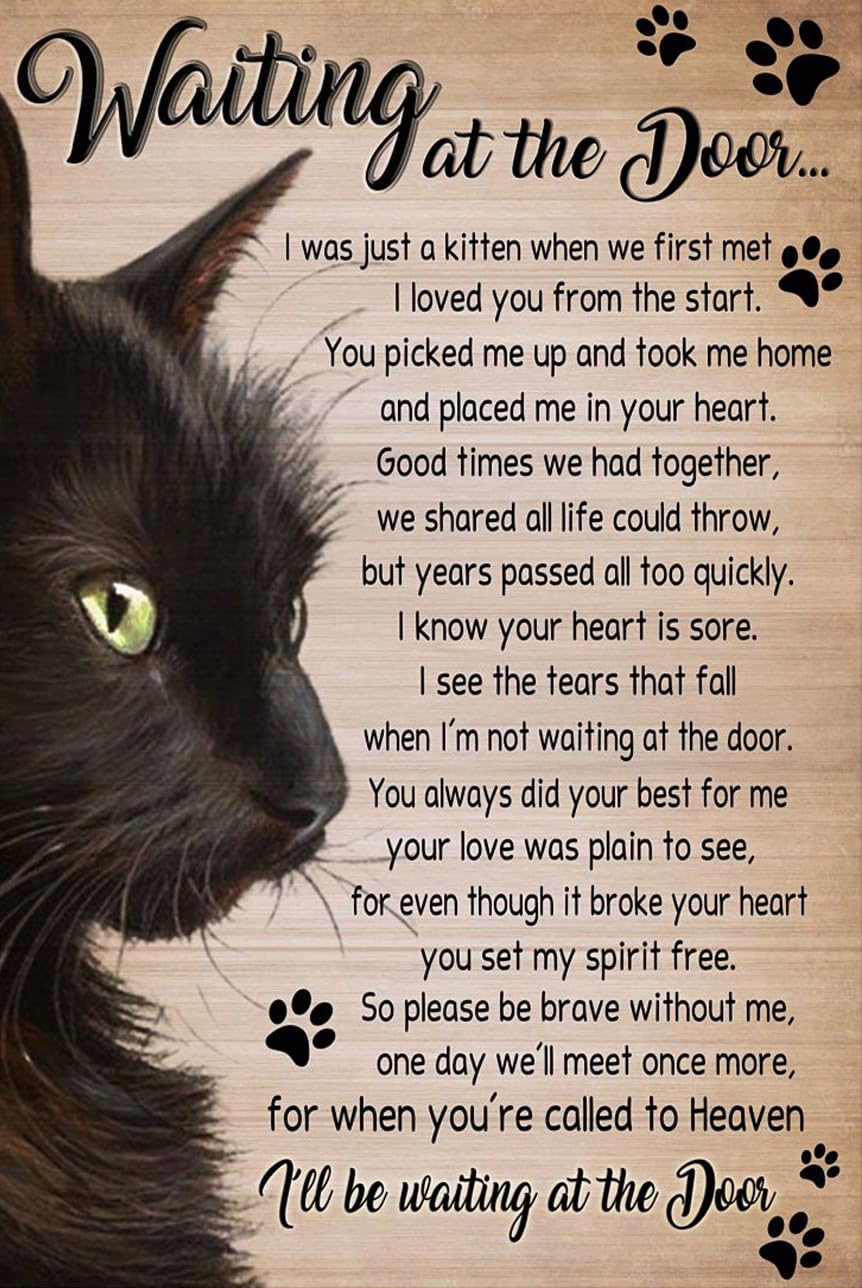 Kisoyo Black Vintage Tin Sign Cat Waiting At The Door I Was Just A Kitten When We First Met I Loved You From The Start You Picked Me Up And Took Me Home And Placed Me In Your Heart Wall Decor 8X12inch