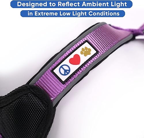 Miniatura 4 de Pawtitas Paquete económico | Arnés acolchado mediano para perro + collar de perro acolchado mediano + correa acolchada mediana - Juego de orquídeas