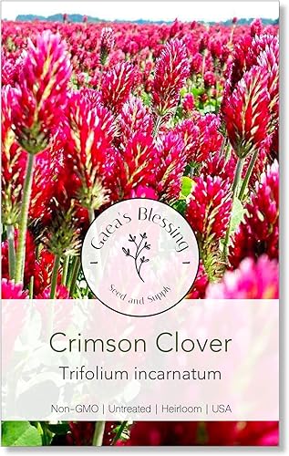 Gaea's Blessing Semillas  Semillas de trébol carmesí  con instrucciones de siembra fáciles de seguir  Semillas de reliquia sin OMG