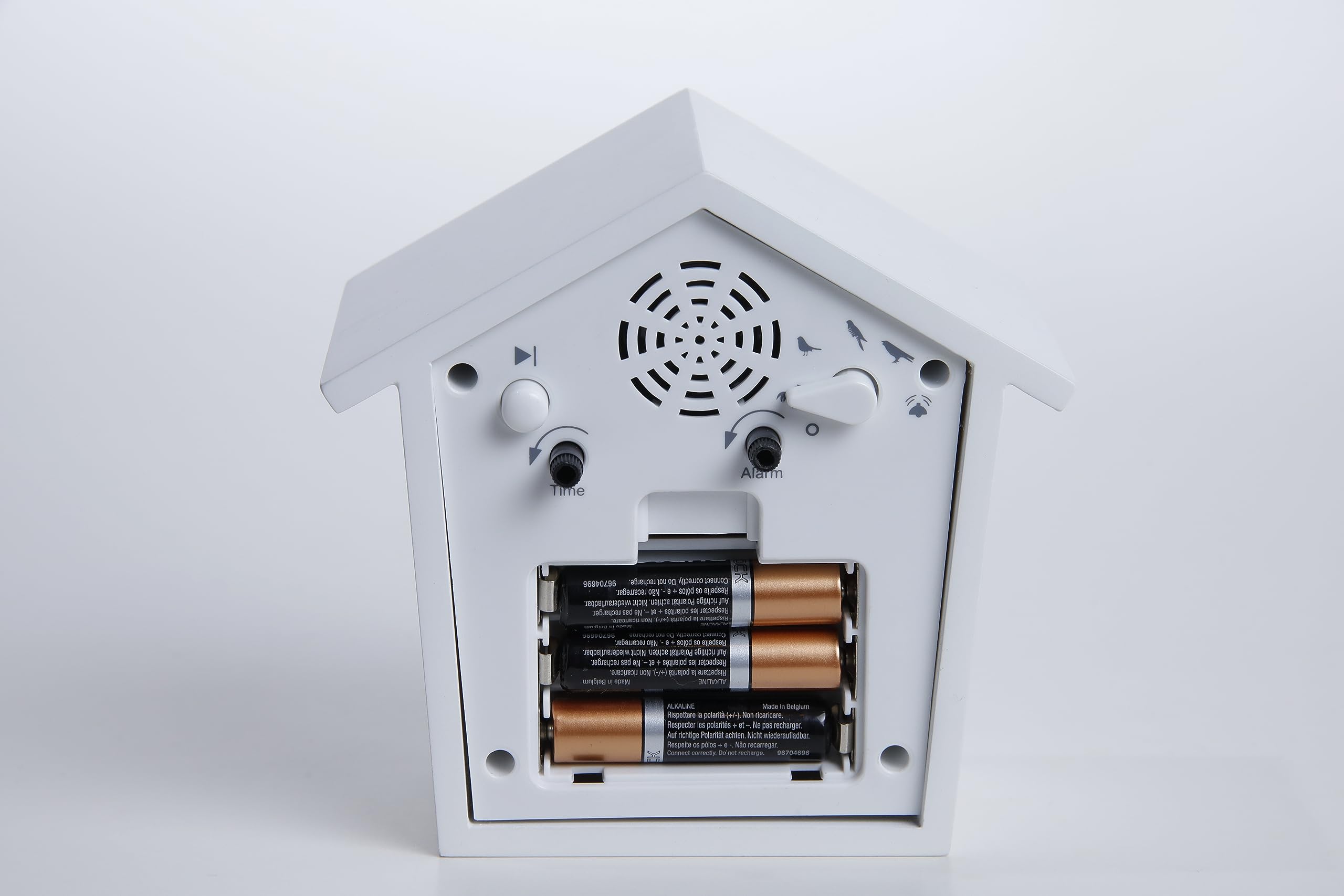 Amazon.co.jp: KOOKOO（クークー） アーリーバード 青色 本物の鳥の