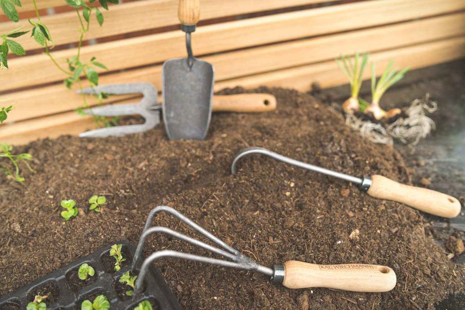 Teak Grubber Handgrubber Kultivator Gartenkralle geschmiedet Teakgriff Premium