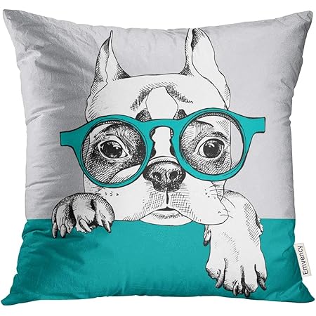 pillow for glasses amazon