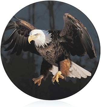 Tempered Glass 3D Bald Eagle Cutting Board Heat Resistant, Round Chopping Board with Non-slip Feet, Fruit Glass Cutting Boards for Kitchen Counter, Small Chopping Boards 8x8 Inch