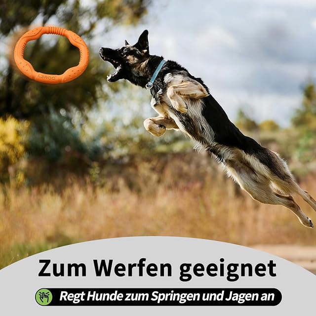 Foto 3 de 8 de LaRoo Juguete Frisbee para Perros