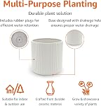 Amazon Basics Fluted Ceramic Planter, 8-Inch, White