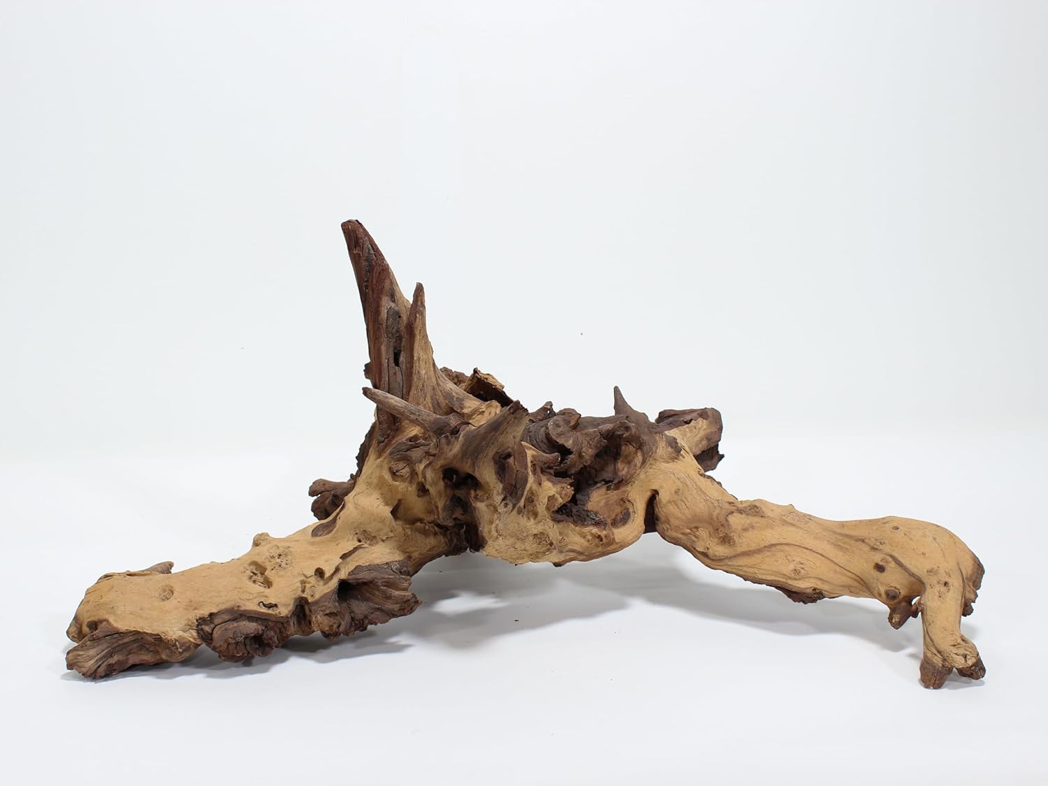 Driftwood: Extra Large 10.2 Pounds G3735