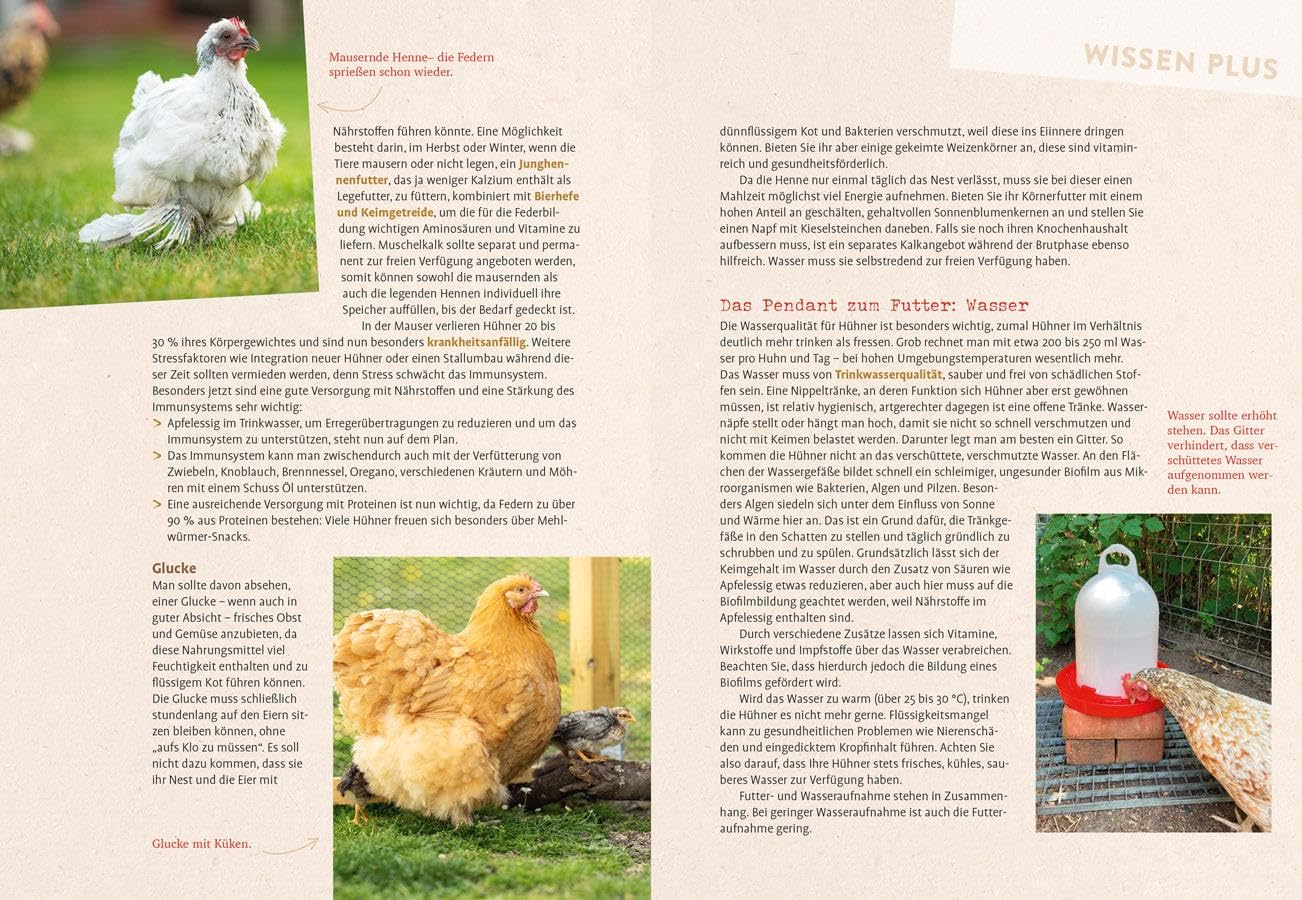 Hilfe, mein Huhn niest!: Häufige Krankheiten bei Hühnern erkennen & behandeln. Mit Ei-Diagnose. Krankes Huhn - was tun?