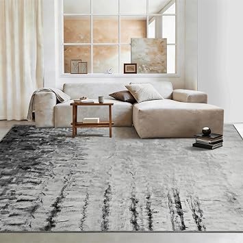FlyDOIT Modern Abstract Area Rug for Living Room, 5x7 Washable Rug for Bedroom Soft Non Slip Thin Throw Carpet, Print Pattern, Indoor Floor Rugs for Dining Room Entryway Home Office, Grey and White