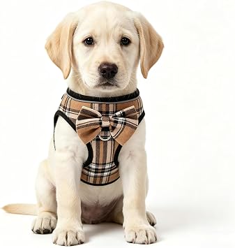 MAMORE Dog Harness No Pull Step in Puppy Vest for Dogs Cats,Breathable Soft Mesh Pet Harness with Reflective Strips 2 Leash Clips for Easy Control Walking Khaki, Medium