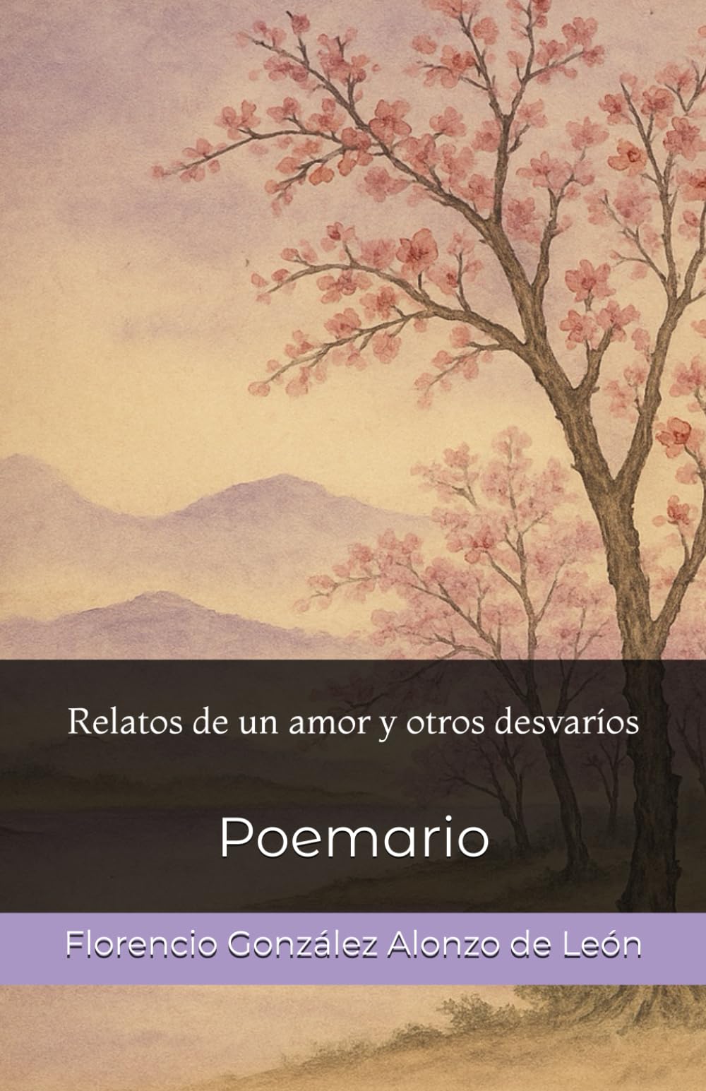 Relatos de un amor y otros desvaríos: Poemario (Spanish Edition)