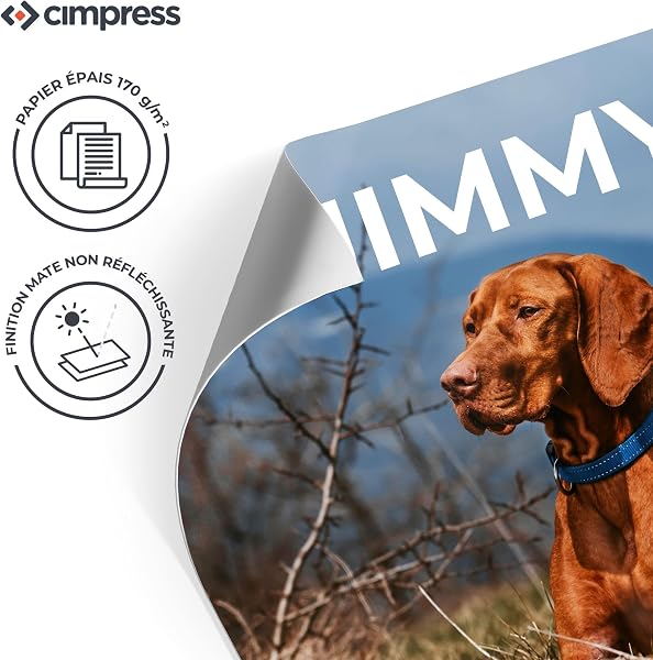 Cimpress Poster imprimable personnalisé, Art mural vertical avec photo et texte - Design personnalisé sur A4, A3, A2, A1, B2 - Pour la maison, le bureau ou les cadeaux (A3 (29.7 x 42cm)) - 5