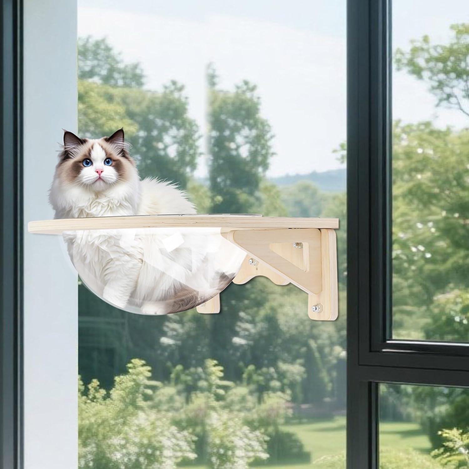 Transparent Cat Window Perch and Wall Shelves with 5 Strong Suction Cups, Cat Wall Capsule Bed Floating Pet Nest for Indoor Cats Climbing and Sleeping, Space-Saving Furniture