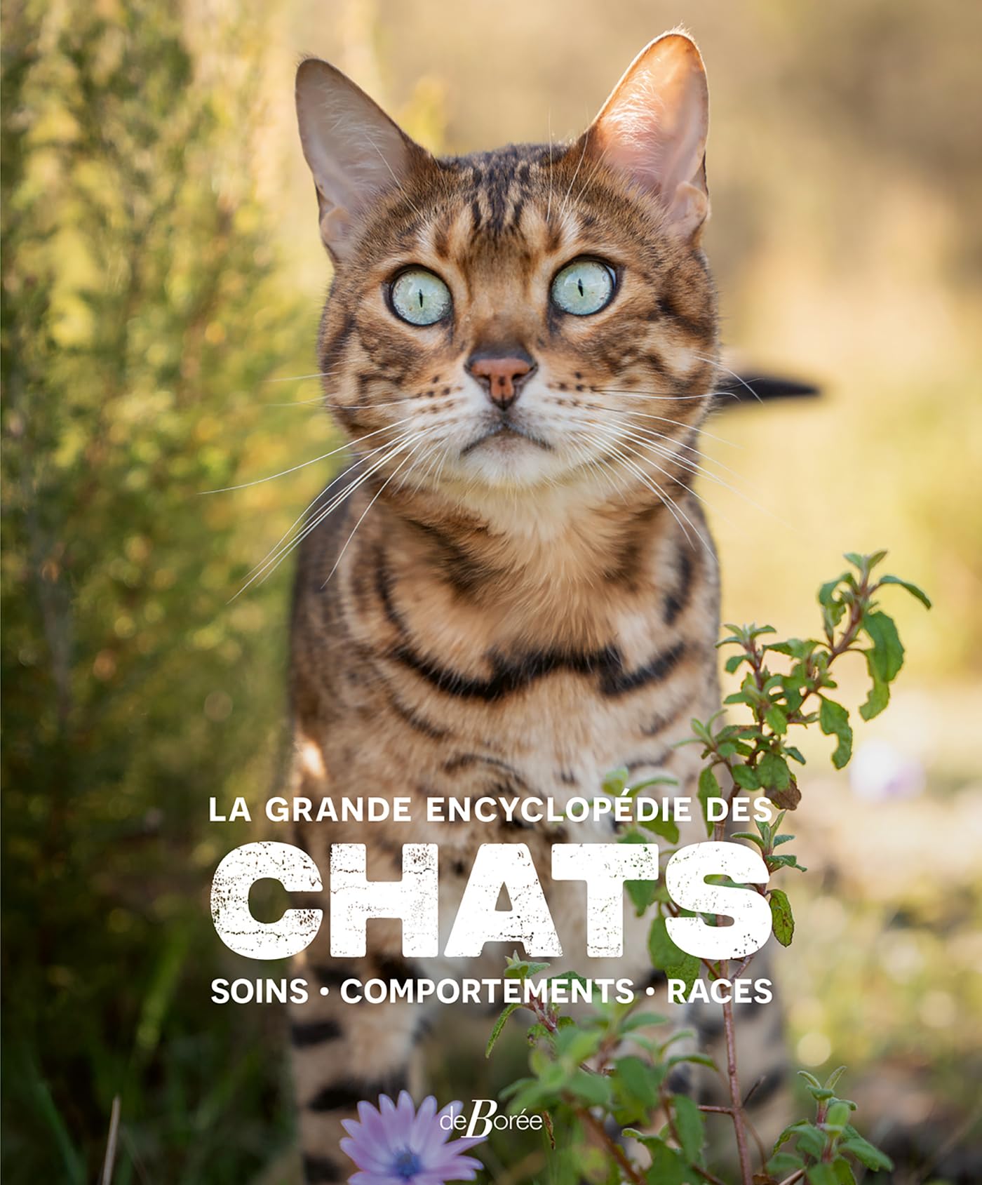 La grande encyclopédie des chats: Soins, comportements, races