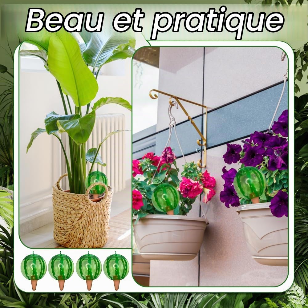 4 Pièce Arroseur Plante intérieur, Arroseur Automatique Plante intérieur | A Forma di Anguria, per lirrigazione Delle piante adatta a vari vasi (1 Pièce/500 ML)