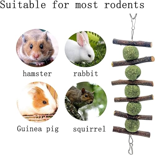 Miniatura 5 de 3 juguetes masticables de conejo, juguetes masticables de conejo para rechinar dientes, palo de madera de manzana orgánica natural para mejorar