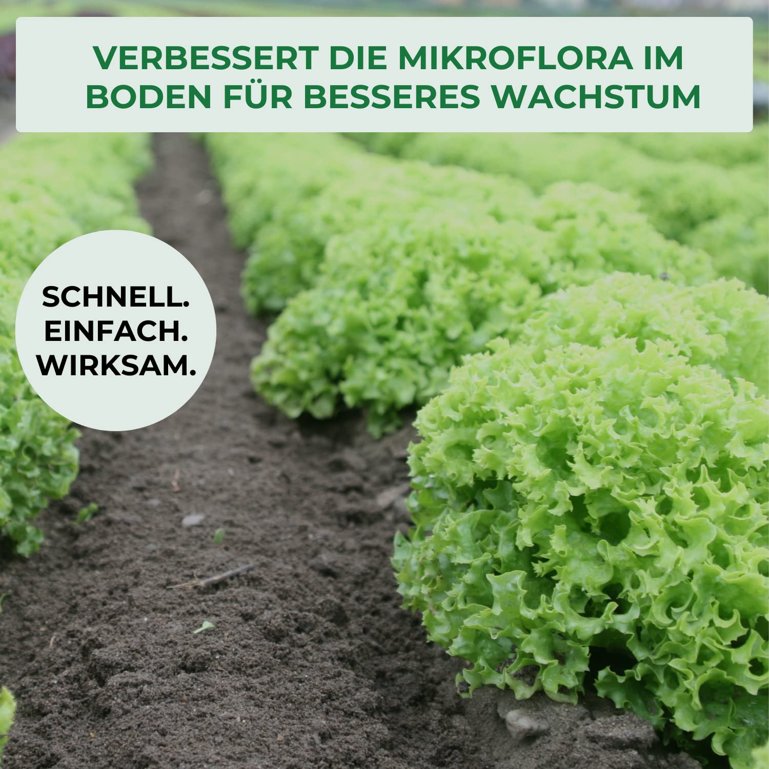 Allflor Pferdedung gekörnt 6 x 5 Kg in Faltschachtel - Pferdemist als Dünger - rein biologisch-organischer Universaldünger - Pferdedünger - Für alle Garten-, Obst- & Gemüsepflanzen
