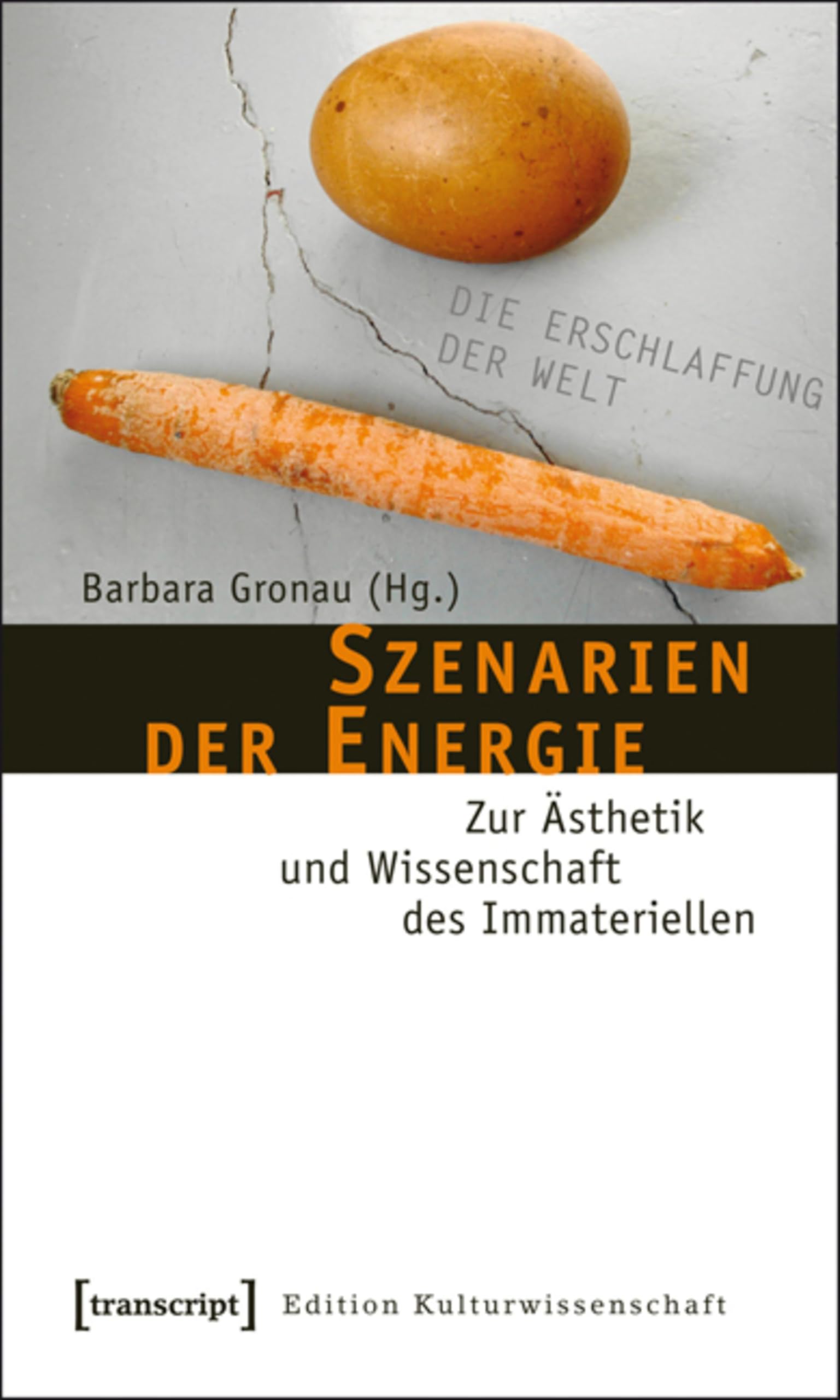 Szenarien der Energie : livre d'esthétique et science de l'immatériel