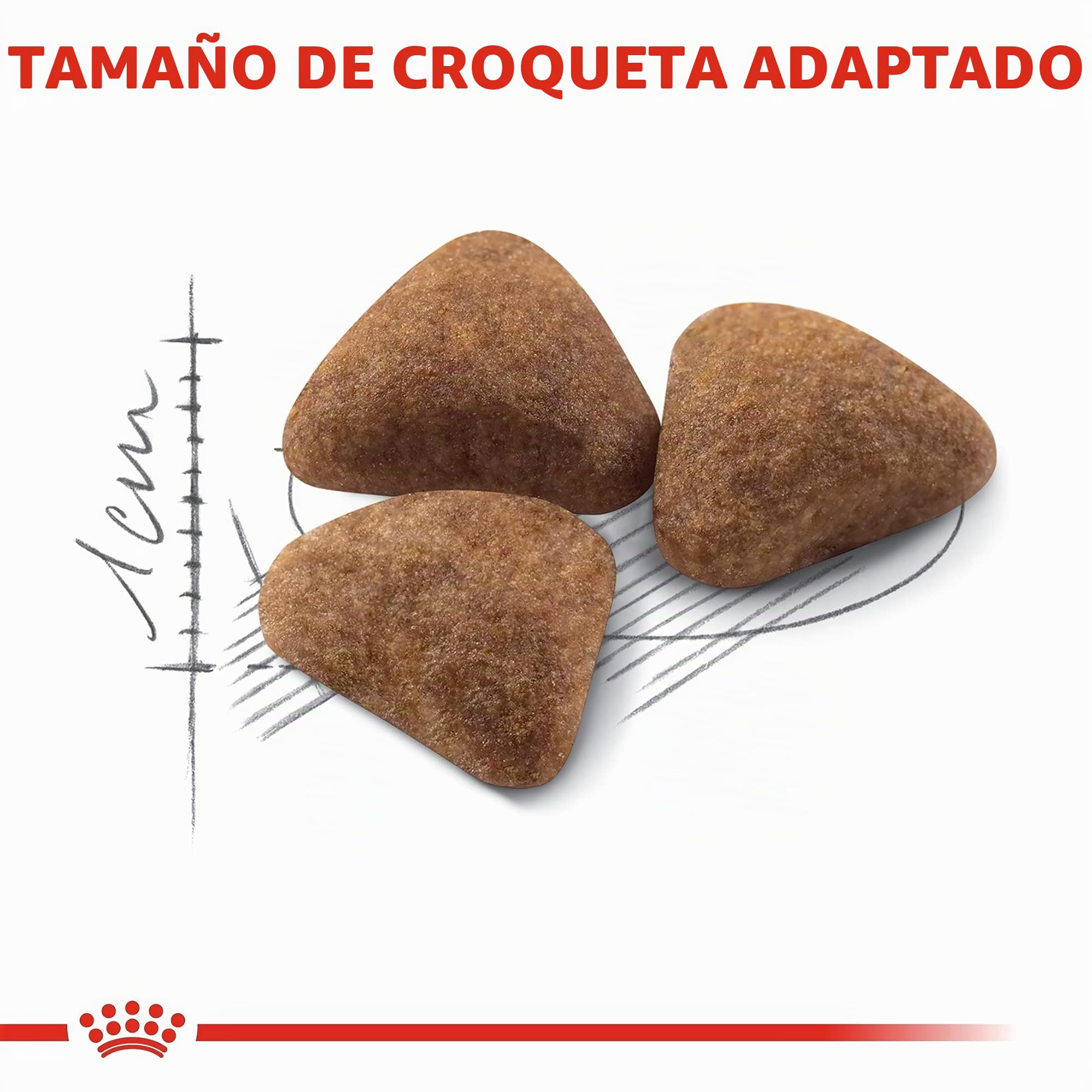 Royal Canin C-58506 Indoor - 10 Kg